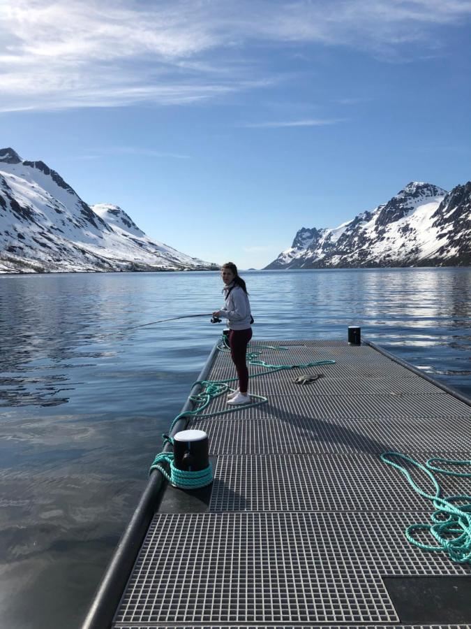 H Sweet H Apartment Free Parking Tromso Luaran gambar